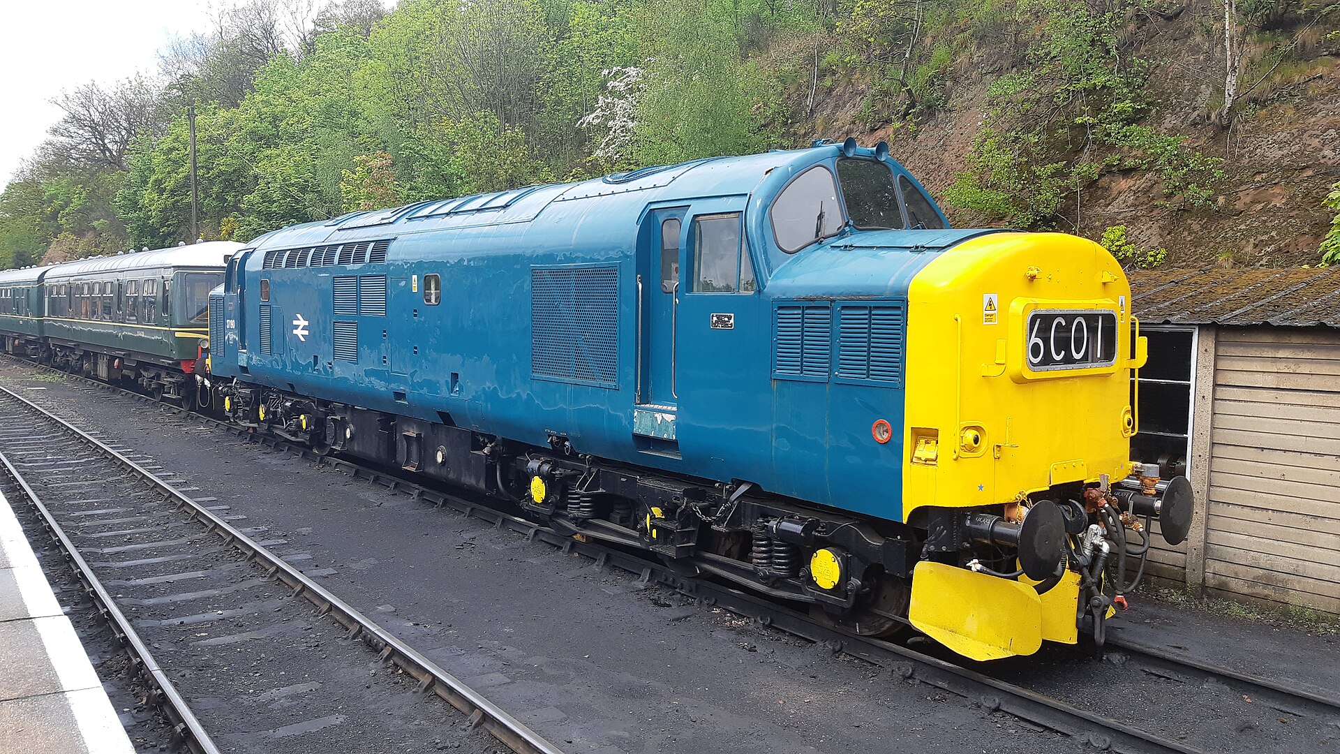 Class 37 train